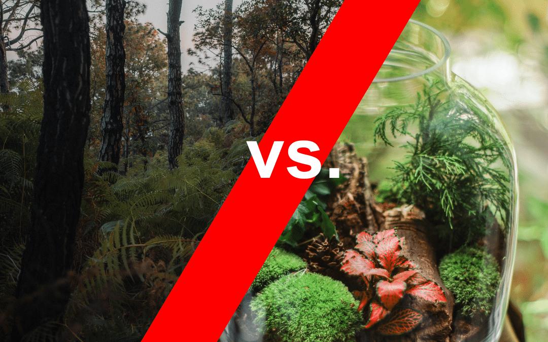 The forest vs. the terrarium – The Daily PPILL #103