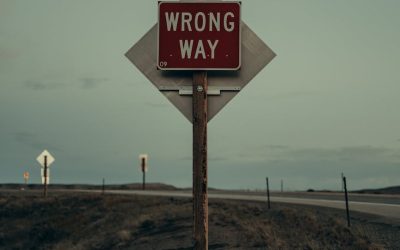 Great, you’re a contrarian. But right or wrong? – The Daily PPILL #221